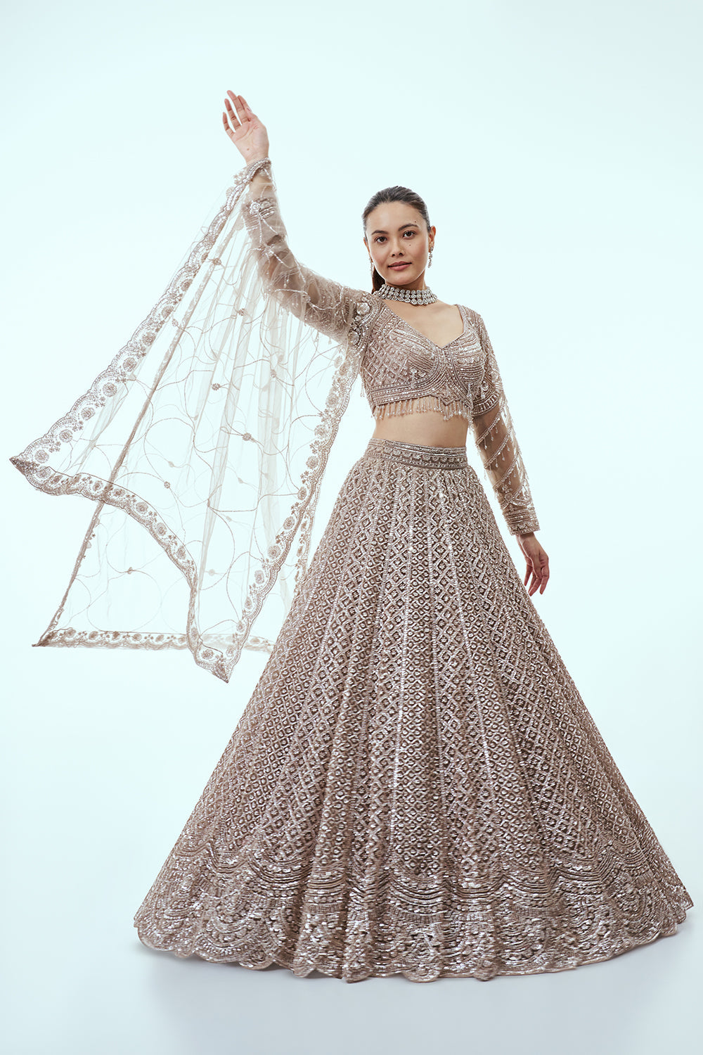 Light Grey Net Lehenga with Cutdana and Sequin Embroidery