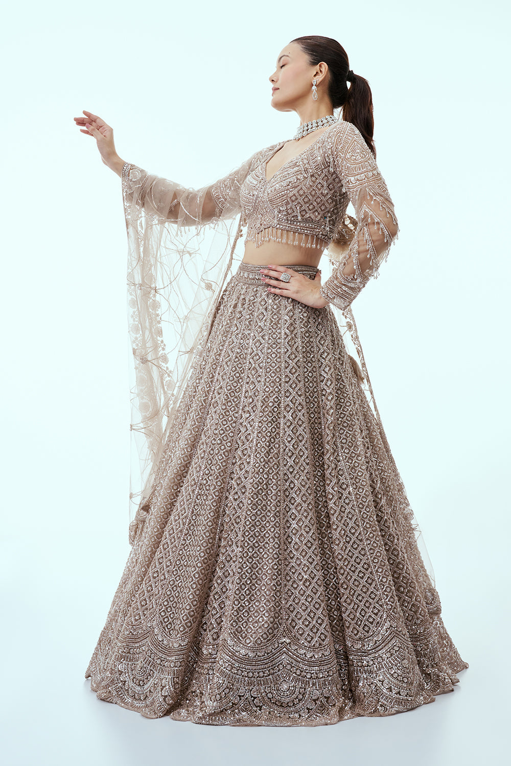 Light Grey Net Lehenga with Cutdana and Sequin Embroidery