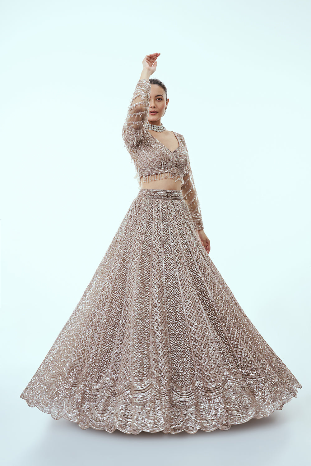 Light Grey Net Lehenga with Cutdana and Sequin Embroidery
