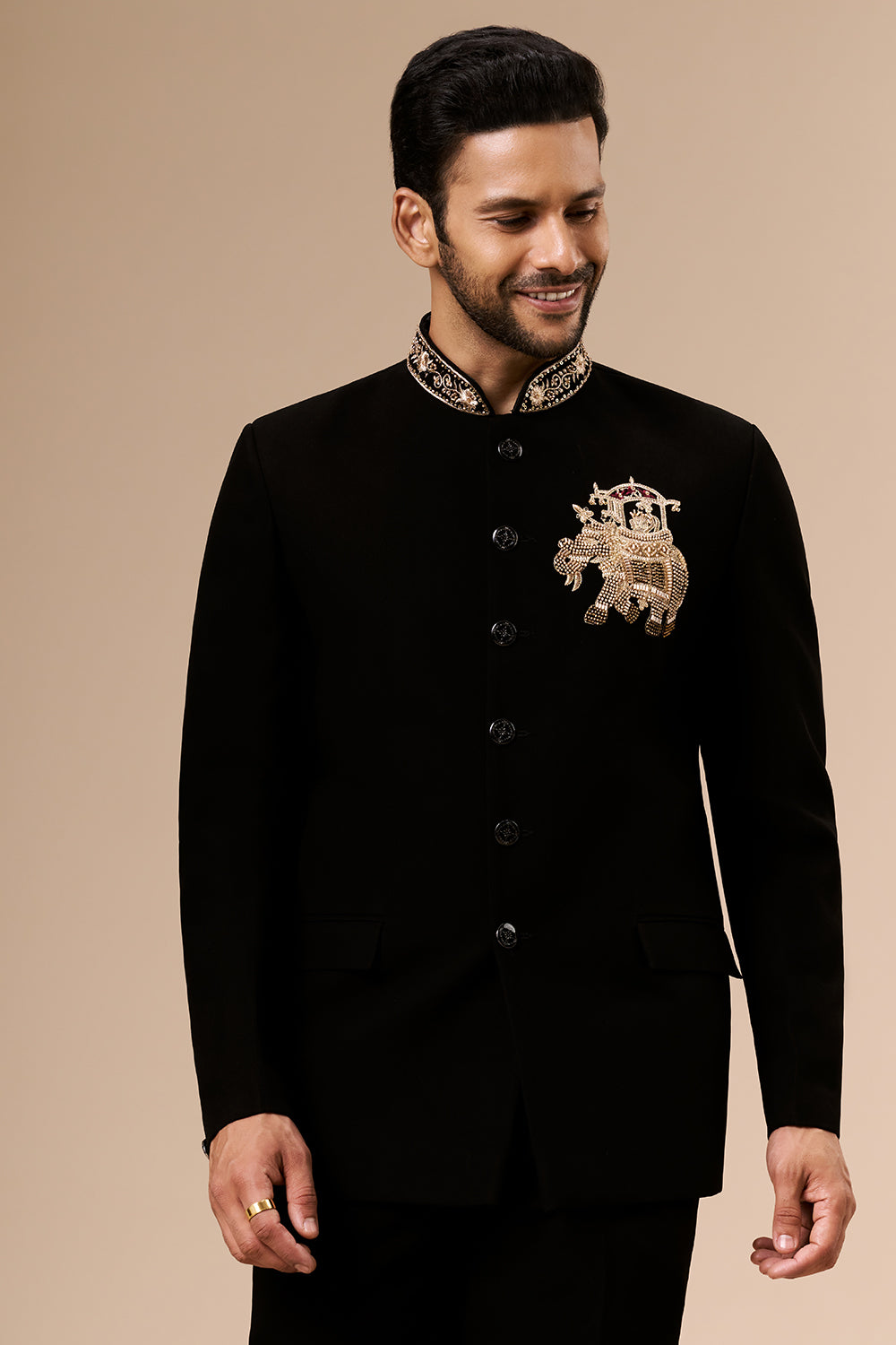 Black Georgette Jodhpuri with Cut Dana and Zari Elephant Motif