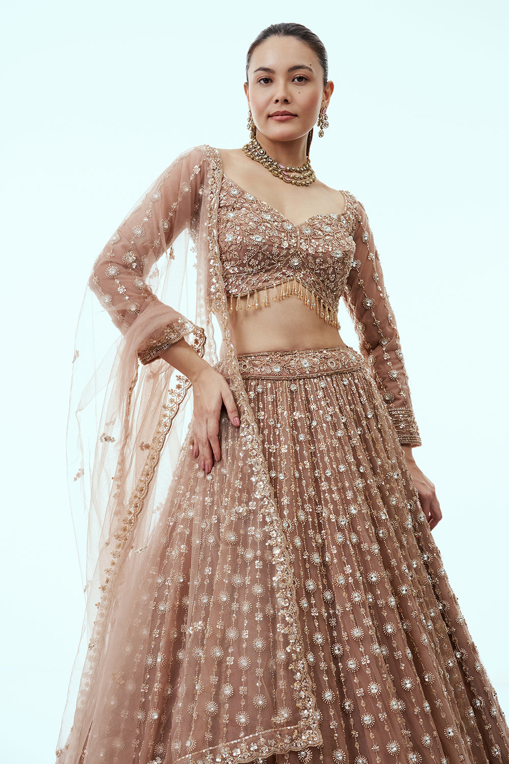 Brown Net Lehenga with Cutdana and Sequin Embroidery