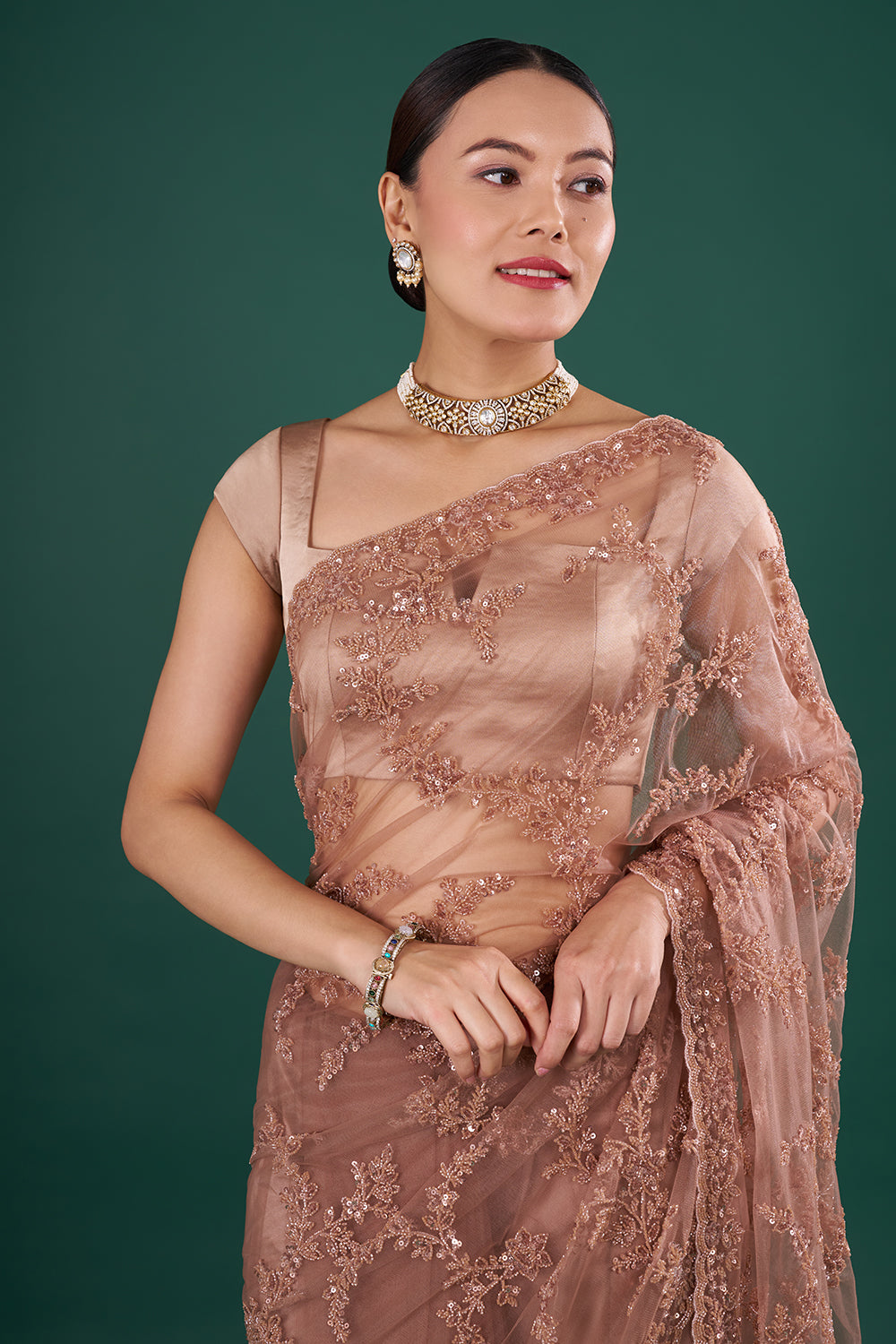 Chocolate Brown Net Saree with Cutdana Embroidery