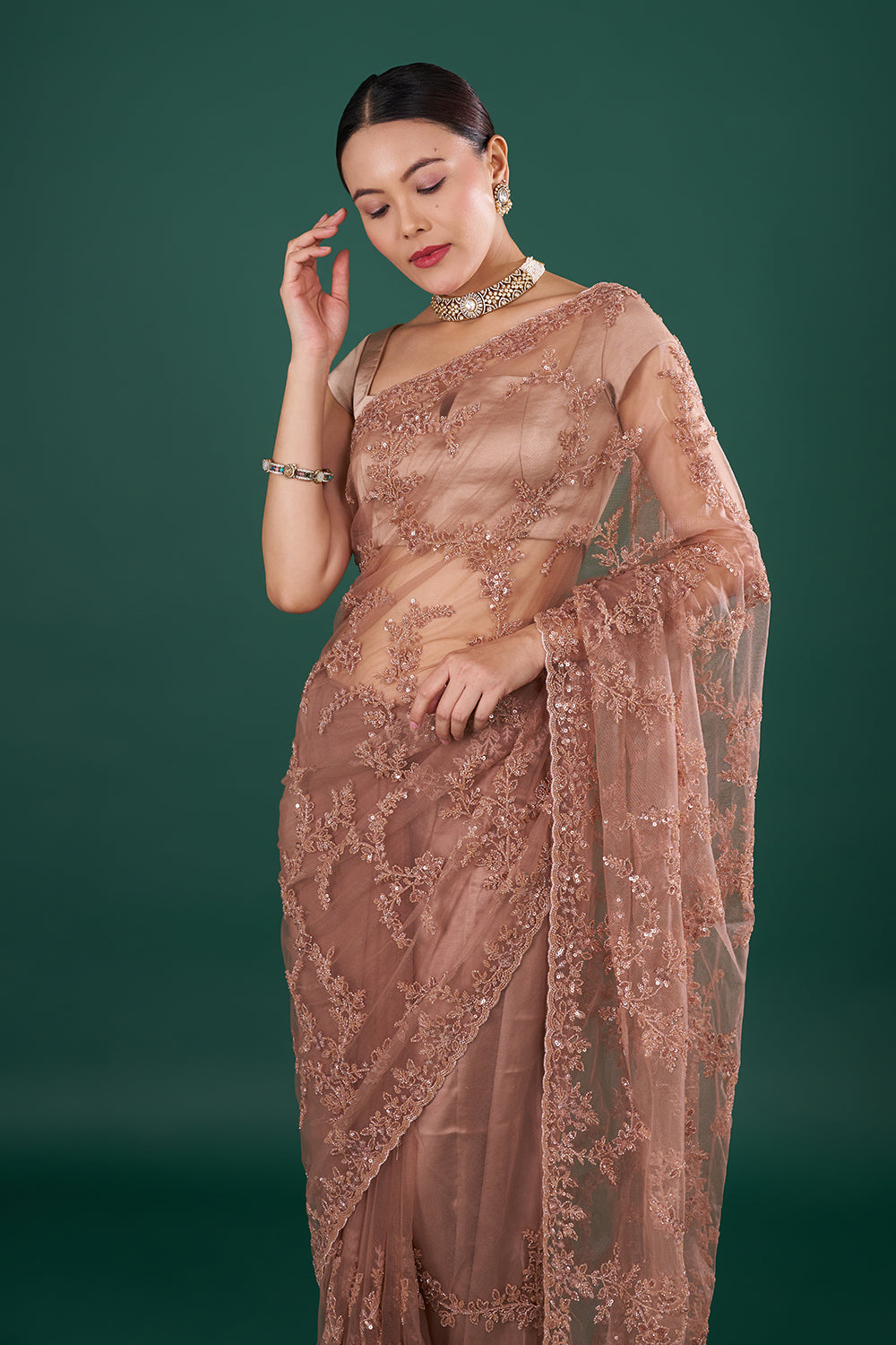 Chocolate Brown Net Saree with Cutdana Embroidery