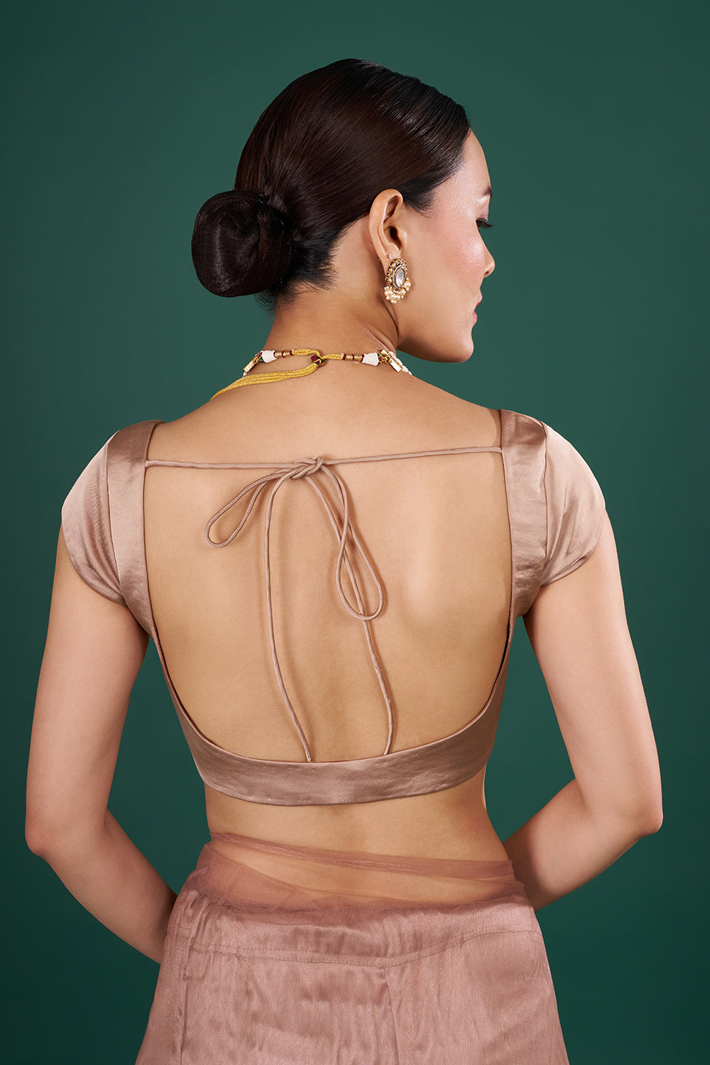 Chocolate Brown Net Saree with Cutdana Embroidery