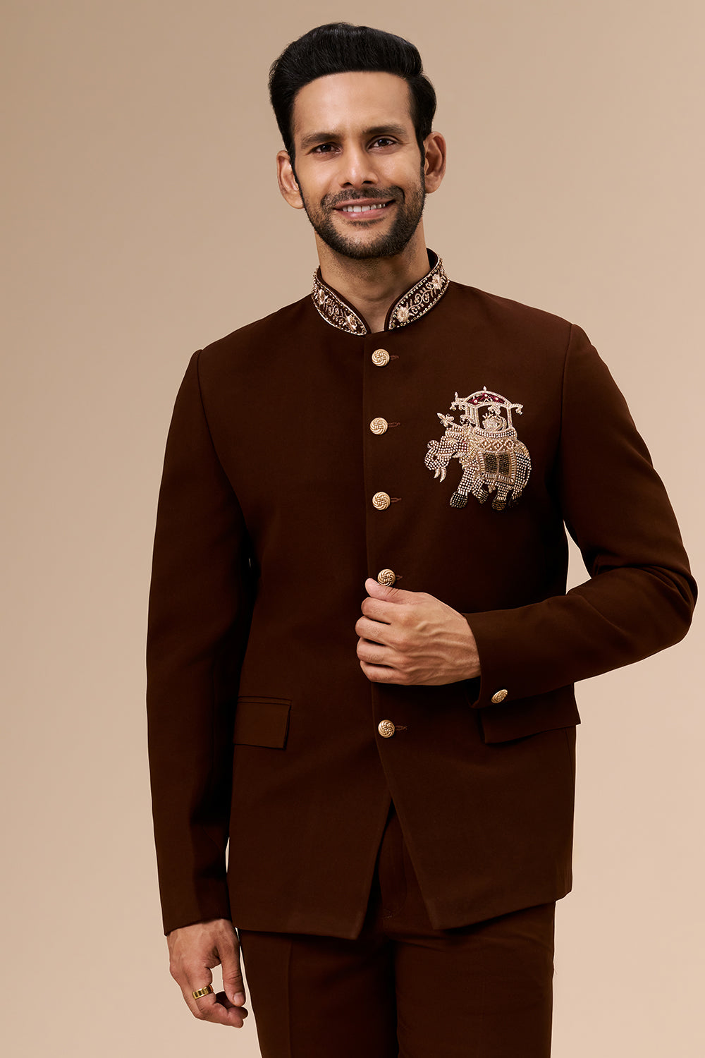 Deep Brown Georgette Jodhpuri with Cut Dana and Zari Elephant Motif