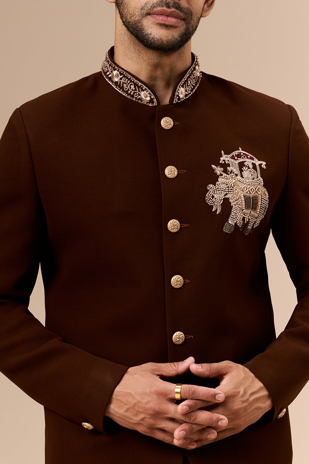 Deep Brown Georgette Jodhpuri with Cut Dana and Zari Elephant Motif
