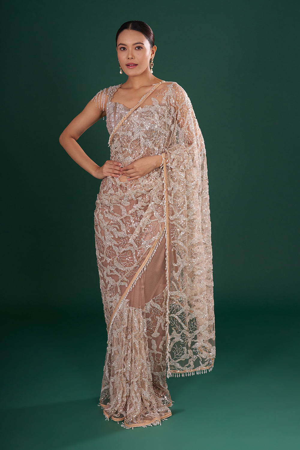 Gold Embroidered Net Saree with Silver Sequin, Cut Dana & Crystal Hand Work