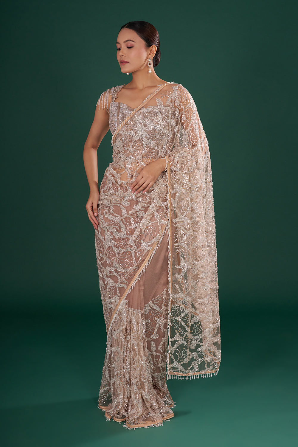 Gold Embroidered Net Saree with Silver Sequin, Cut Dana & Crystal Hand Work