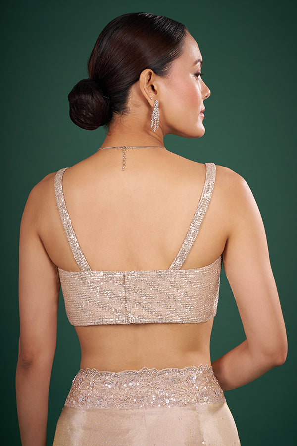 Gold Net Sequin Work Blouse