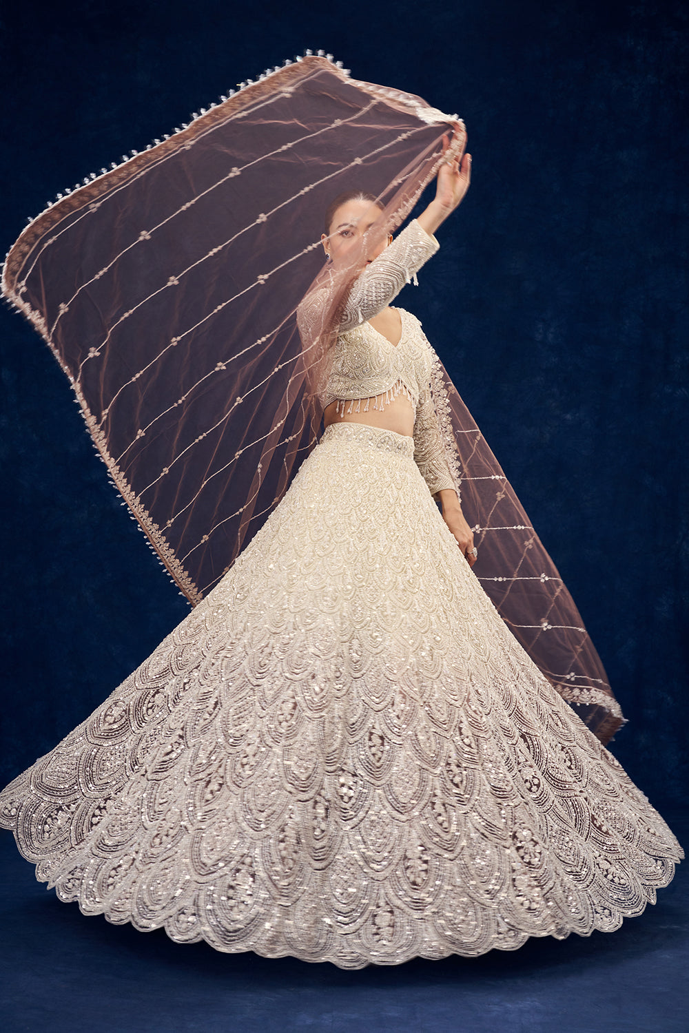 Ivory and Brown Hand Embroidered Net Lehenga with Cutdana Work