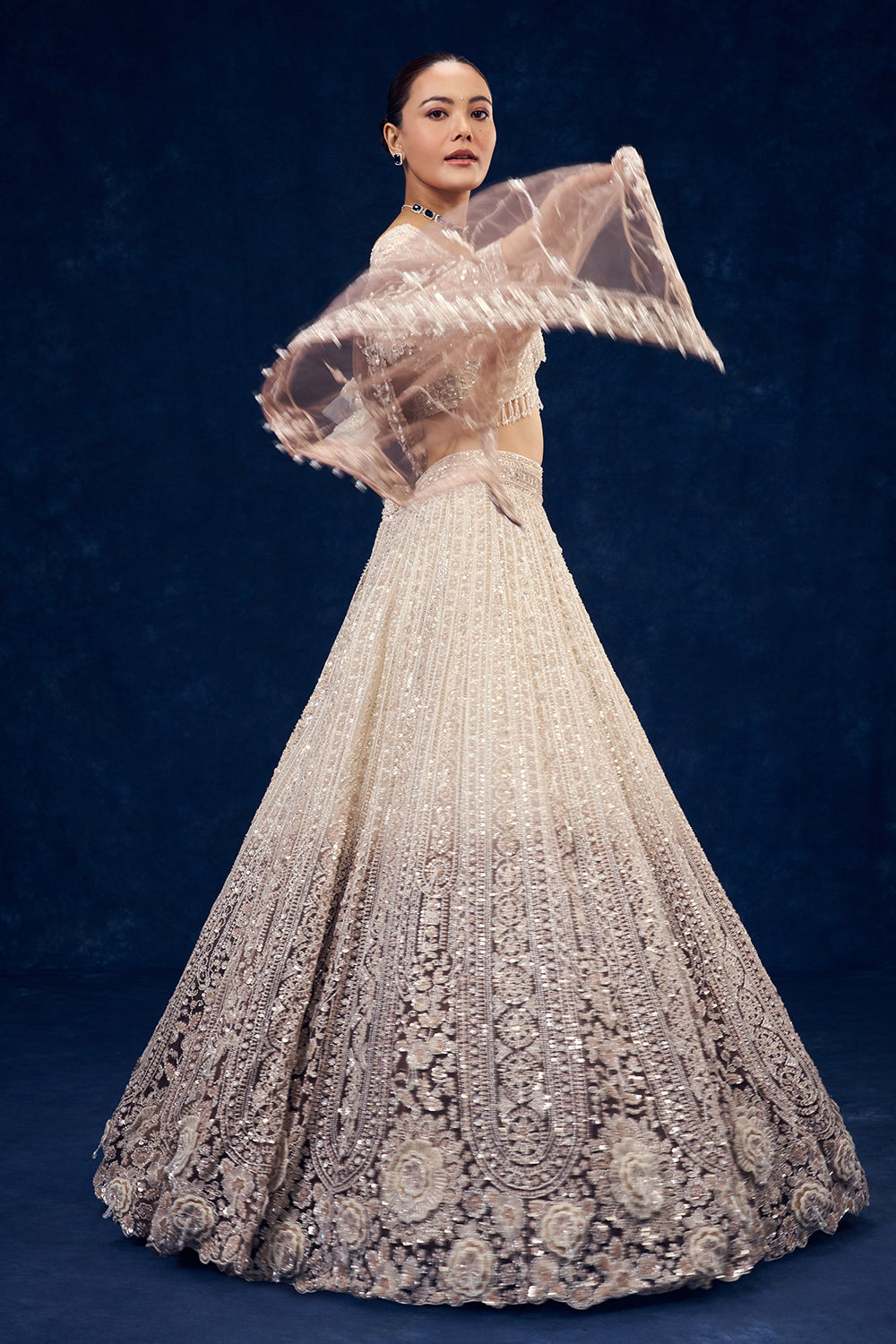 Ivory and Brown Ombre Ornate Net Lehenga with 3D Flowers