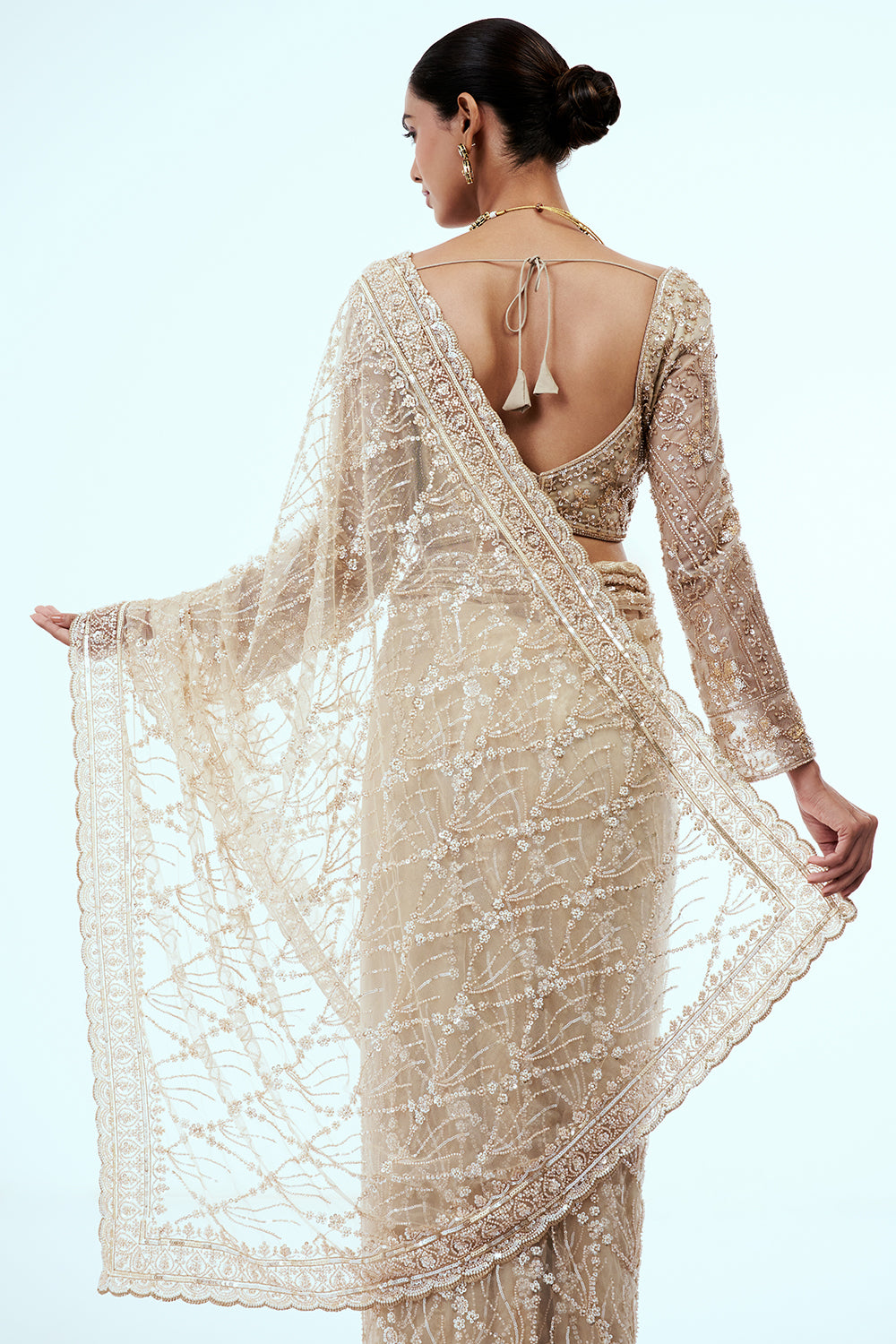 Light Gold Net Embellished Saree with Resham Work