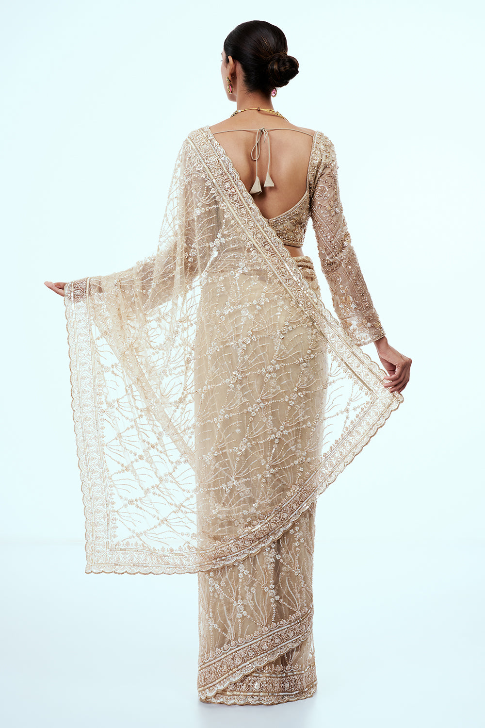 Light Gold Net Embellished Saree with Resham Work