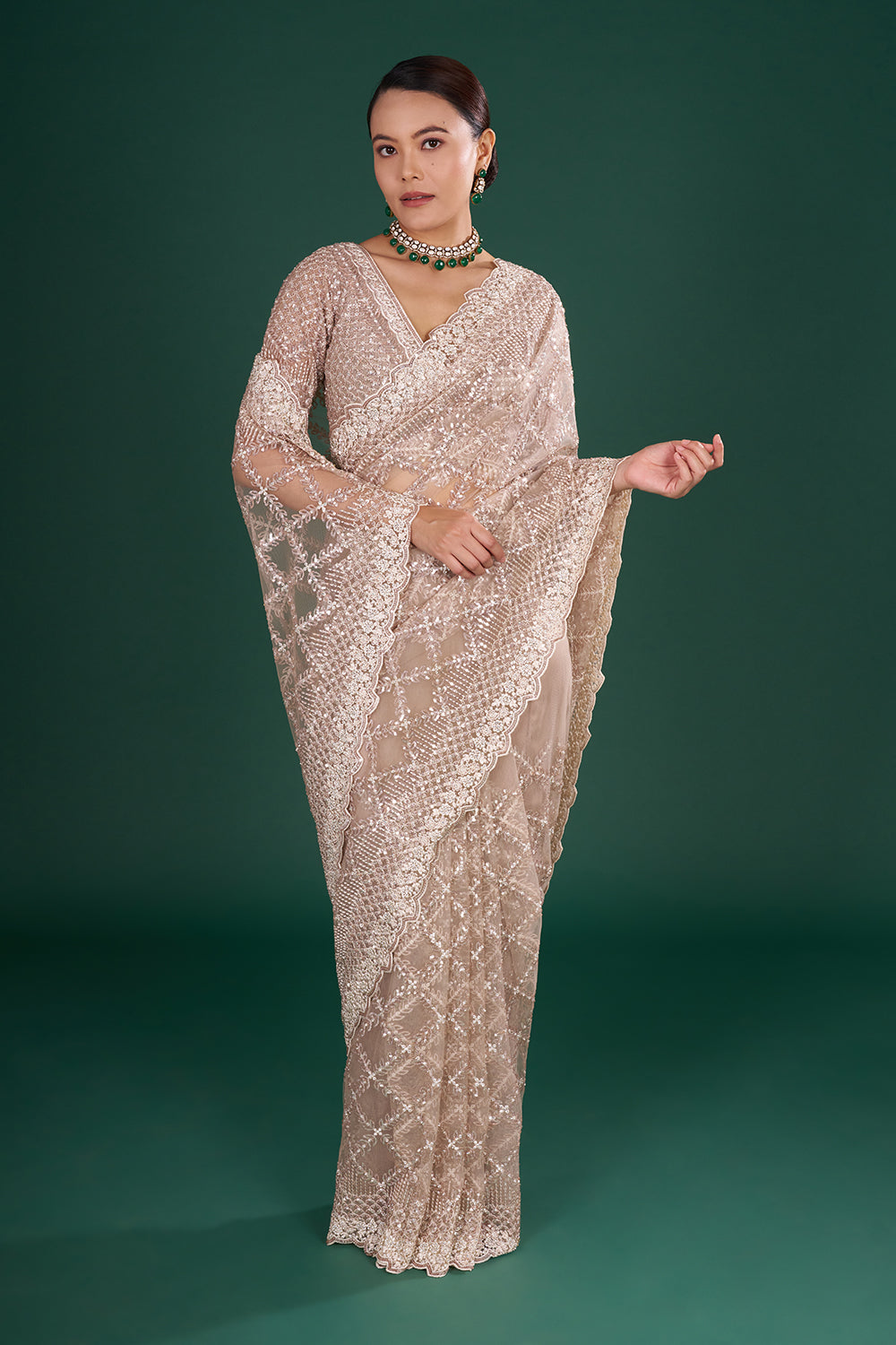 Champagne Net Embroidered Saree with Geometric Pattern and Stitched Blouse
