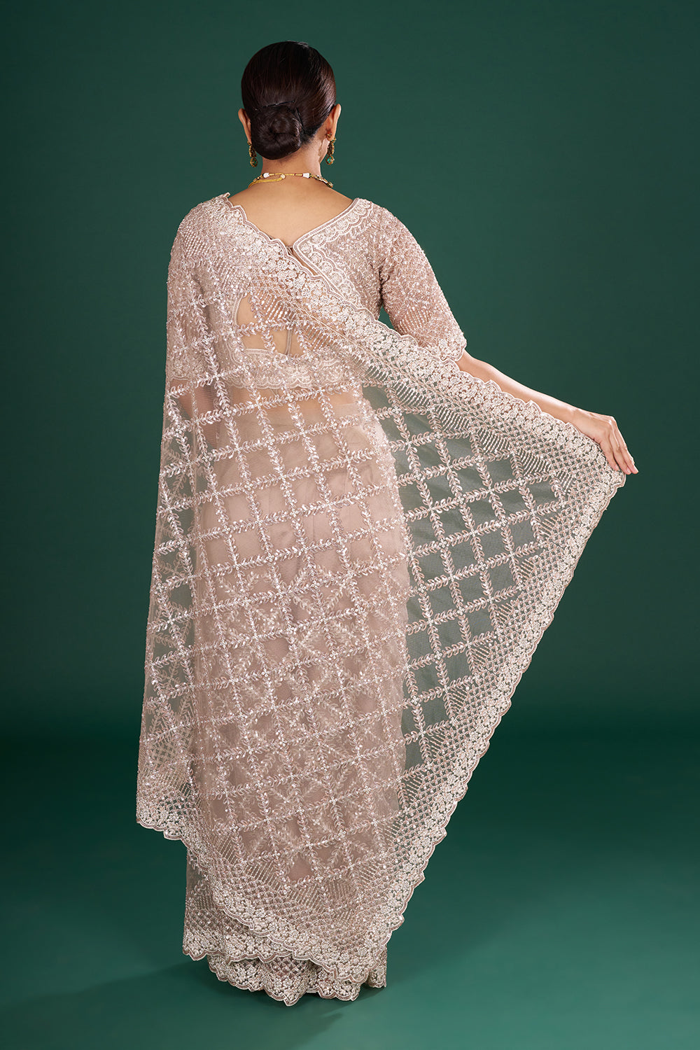 Champagne Net Embroidered Saree with Geometric Pattern and Stitched Blouse