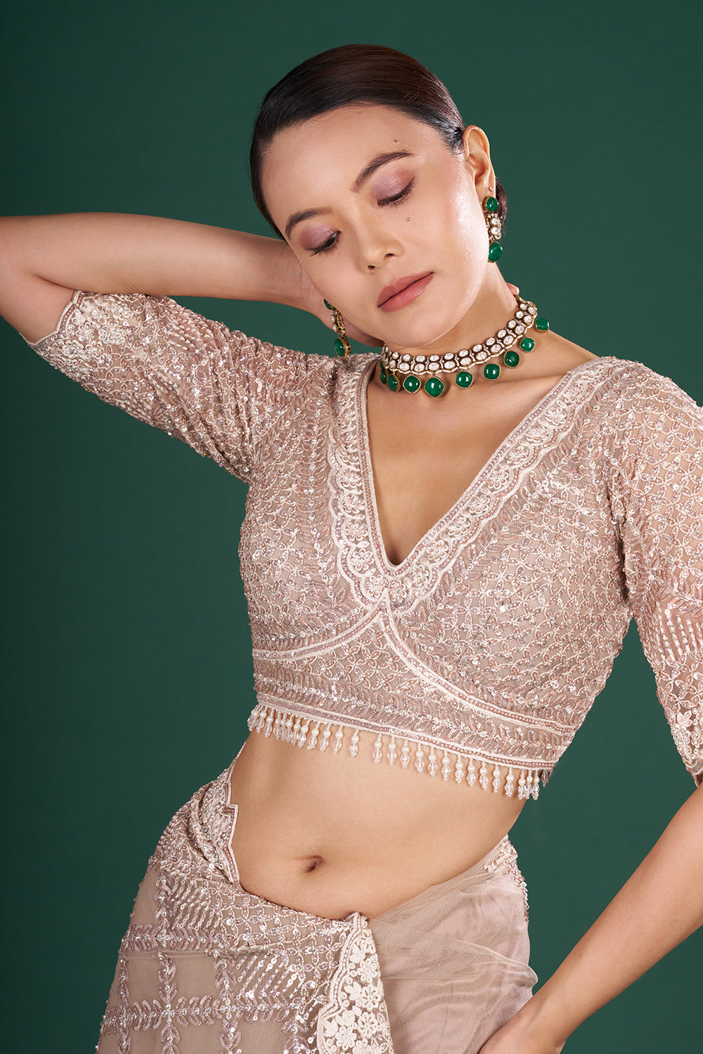 Champagne Net Embroidered Saree with Geometric Pattern and Stitched Blouse