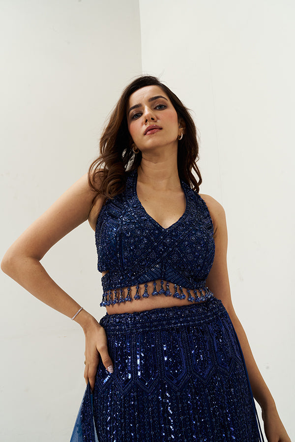 Navy Blue Embellished Net Festive Lehenga Set