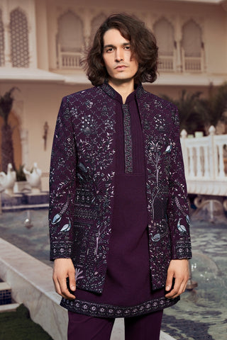 Wine Imported Indo Western With Sequins And Resham Embroidery