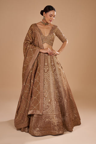 Antique Gold Shimmer Zari Tissue Lehenga Set with Fully Jal Embroidery