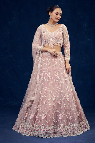 Baby Pink Net Lehenga with Cutdana and Resham Handwork