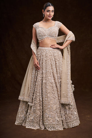 Beige Gold Net Bridal Lehenga with Floral Cutdana and Sequin Work