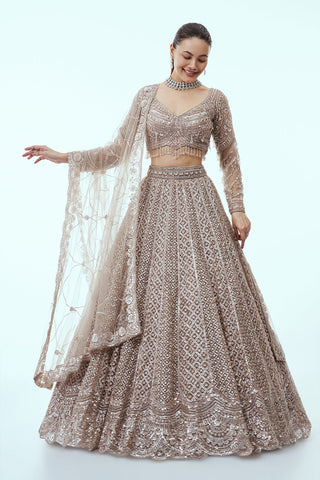 Light Grey Net Lehenga with Cutdana and Sequin Embroidery