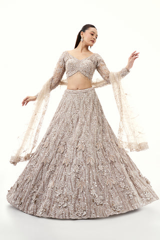 Beige Silver Lehenga with Sequins and 3D Flower Embroidery