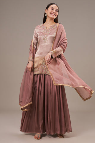 Bronze Tissue Palazzo Suit with Cutdana and Zardosi Work