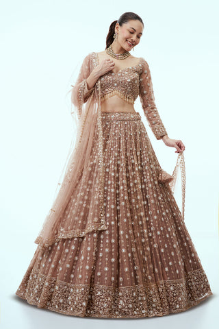 Brown Net Lehenga with Cutdana and Sequin Embroidery