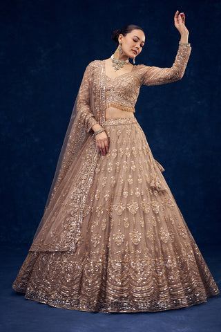 Champagne Beige Net Lehenga with Cutdana and Sequin Hand Work
