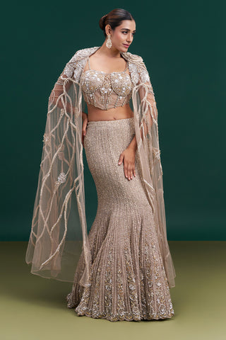 Champagne Gold Net Bridal Lehenga with Vine Embroidery and Statement Cape