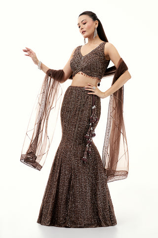 Chocolate Brown Lehenga with Sequins and Bead Work