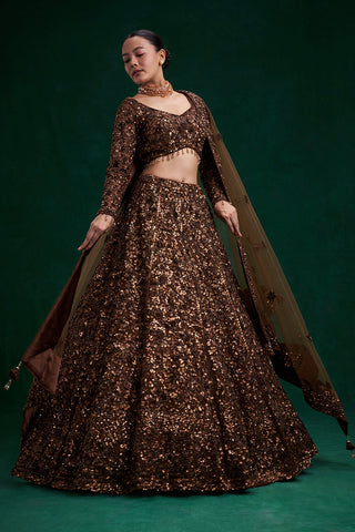 Copper Brown Net Bridal Lehenga with Cutdana and Bead Work