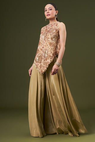 Dusty Beige Tissue Coord Set with Sequin Zari Work