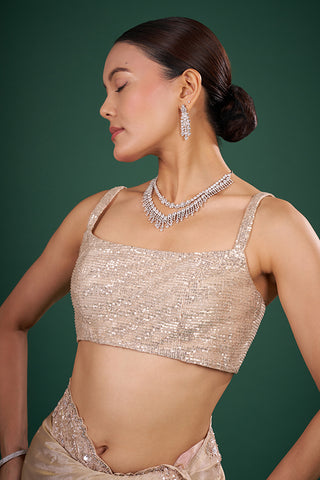 Gold Net Sequin Work Blouse