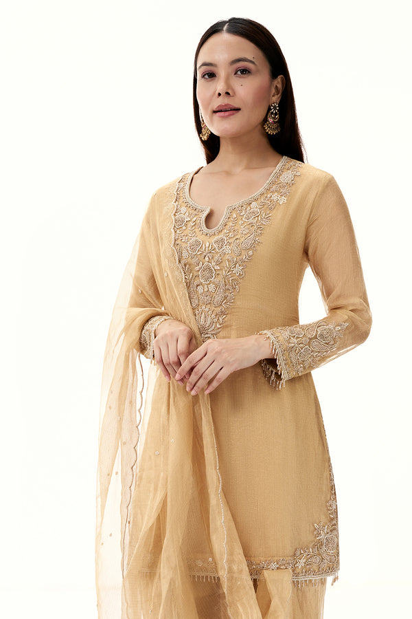 Golden Tissue Suit with Zardosi and Bead Work