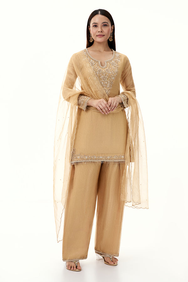 Golden Tissue Suit with Zardosi and Bead Work