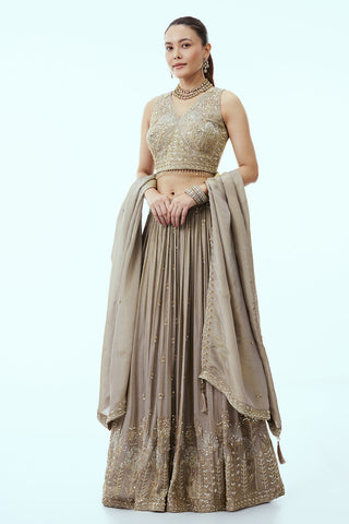 Grey Tissue Lehenga with Cutdana and Moti Embroidery