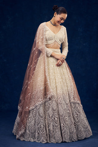 Ivory and Brown Hand Embroidered Net Lehenga with Cutdana Work