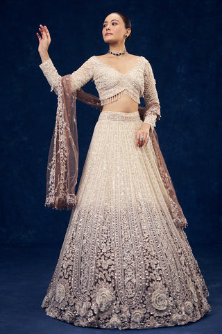 Ivory and Brown Ombre Ornate Net Lehenga with 3D Flowers