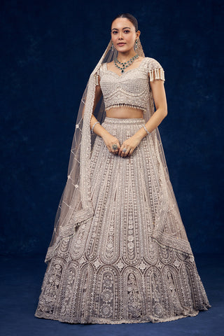 Light Beige Net Lehenga with Cutdana and Sequins Handwork