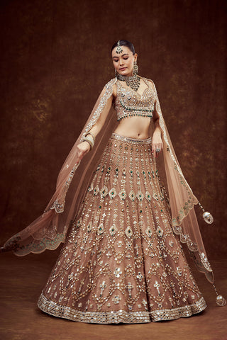Light Gold Net Bridal Lehenga with Mirror Embroidery