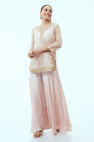 Light Peach Organza featuring Dori and Zardosi work with Palazzo Pants