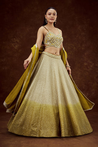 Lime Yellow Ombre Tissue Lehenga with Pearl and Sequin Work