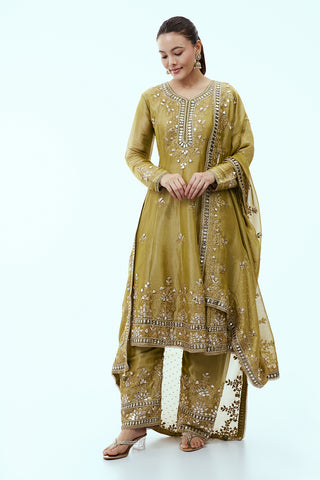 Mehendi Green Tissue Anarkali Suit with Mirror Work