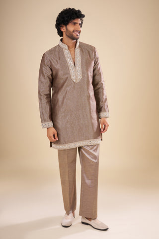 Metallic Taupe Silk Kurta Set with Resham Embroidery