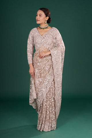 Champagne Net Saree with Resham Embroidery and Stitched Blouse