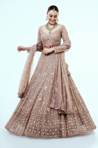 Mousse Brown Hand Embroidered Net Lehenga with Cutdana Work