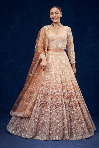 Peach and Orange Net Lehenga with Cutdana Hand Work