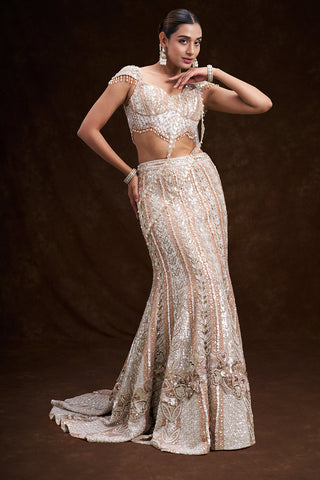 Peach and Silver Net Bridal Lehenga with 3D Floral Embroidery